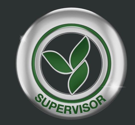 Herbalife Supervisor Pin, Supervisor Pin Herbalife, Herbalife Quotes, Herbalife Pins, Herbalife Nutrition Facts, Herbalife Motivation, Herbalife Business, Herbalife Nutrition Club