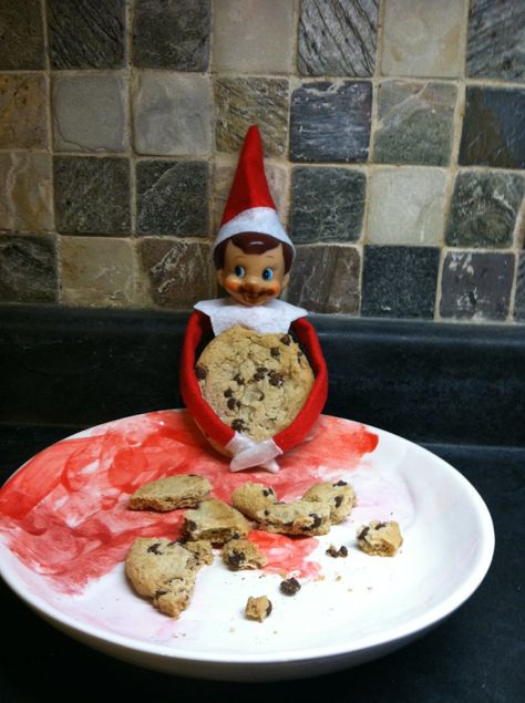 Testing out santas cookies Elf Eating Cookies, Cookies Christmas Decorated, Elf On The Shelf Cookies, Elf Cookies, Elf Shelf, Decorated Stockings, Elf Activities, Make Cookies, Elf Antics