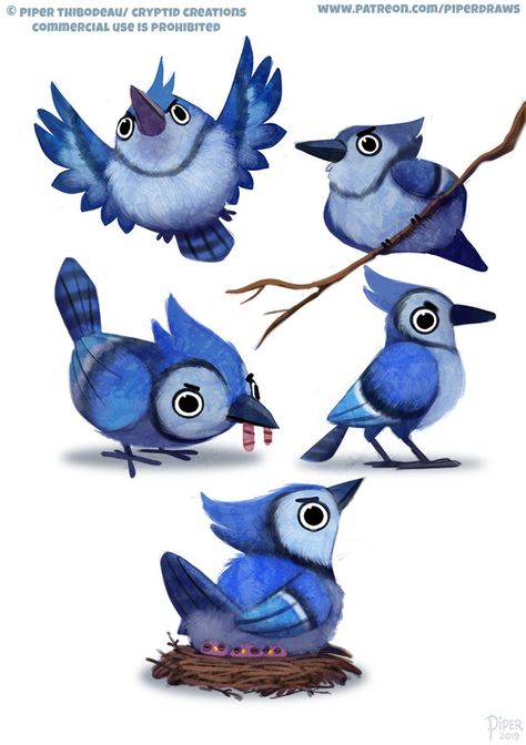 Cryptid Creations, Blue Jay Art, Piper Thibodeau, Blue Birds, Funny Birds, Daily Painting, Bird Pictures, Bird Drawings, Bird Illustration