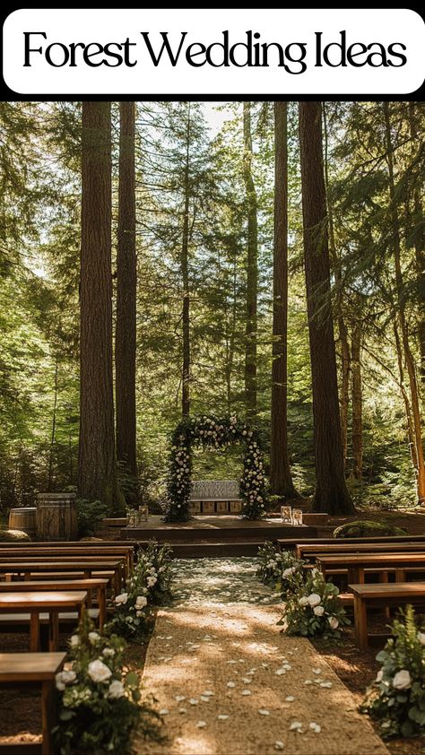 Romantic forest wedding setup with rustic decor and forest green accents in a woodland setting. Wedding Ideas Nature Theme, Forest Wedding Decor Ideas, Forest Chapel Wedding, Outdoor Wedding Decorations On A Budget, Forest Spring Wedding, Colorado Forest Wedding, Rustic Nature Wedding, Wedding In The Woods Forests, Outdoor Woods Wedding