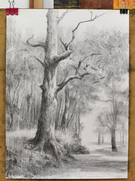 Capturing Tranquility: Pencil Tree Sketches Tree Trunk Drawing, Tree Pencil Sketch, Nature Sketches Pencil, Pencil Sketches Landscape, Pencil Tree, Landscape Pencil Drawings, Tree Drawings Pencil, Pencil Trees, Sketches Art