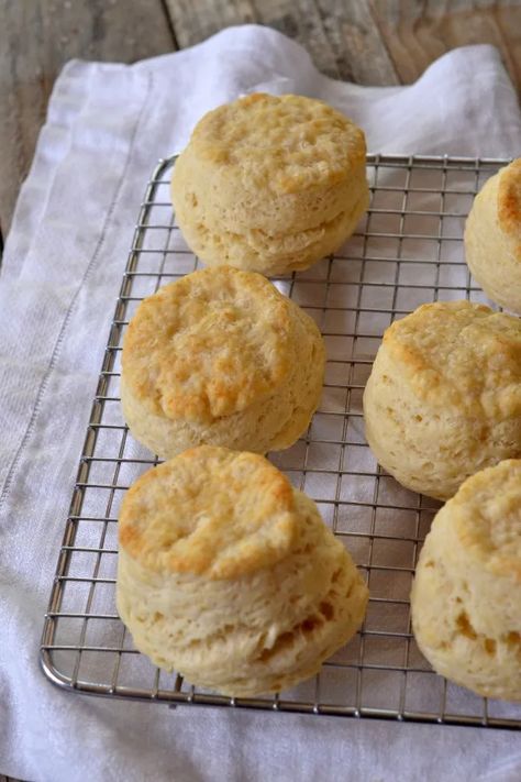 High Altitude Biscuit Recipe, High Altitude Baking, Buttermilk Biscuits Recipe, Biscuits Easy, Homemade Biscuits, Buttermilk Biscuits, Homemade Jam, High Altitude, Biscuit Recipe