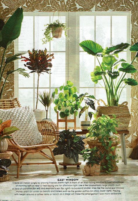 Create an indoor jungle by placing plants right in front of an east-facing window to take advantage of morning light or near a west-facing one for afternoon light. Use a few dramatically large plants to bookend smaller ones and trailers. Playing with height around a coffee table or bench as a stage will make the arrangement look more deliberate. White Rattan Furniture, Rattan Furniture Living Room, Indoor Garden Rooms, Window Plants, Rattan Garden Furniture, Plant Decor Indoor, Indoor Patio, House Plants Decor, Room With Plants