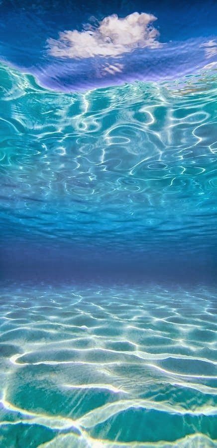 Underwater Wallpaper, Clear Blue Water, Under The Surface, Frou Frou, White Clouds, Underwater Photography, Sea And Ocean, Underwater World, Ocean Life