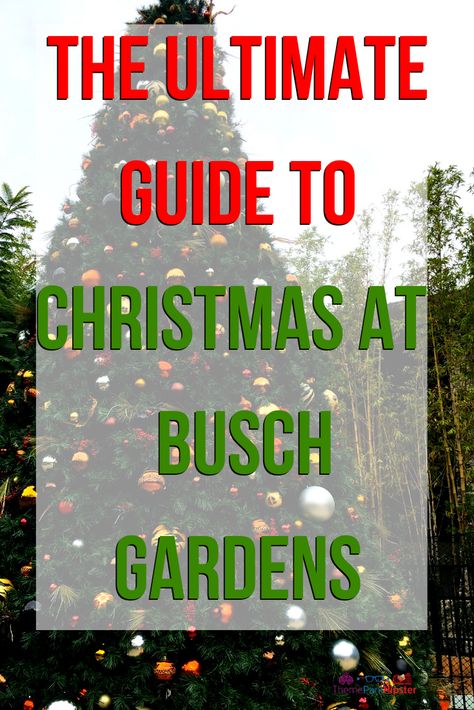 Busch Gardens Christmas Town, Christmas Florida, Events Theme, Disney Hogwarts, Busch Gardens Tampa Bay, Busch Gardens Williamsburg, Christmas At Disney, Magical Theme, Things To Do In Orlando