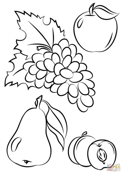 Great Image of Fruits And Vegetables Coloring Pages Fruits And Vegetables Coloring Pages Fruit And Vegetable Coloring Page With Fruits Vegetables Picturesque #coloringpages #coloring Autumn Fruits And Vegetables Preschool, Autumn Fruits Drawing, Autumn Fruits Crafts For Kids, Autumn Fruits, Fruit Coloring, Vegetable Coloring Pages, Fall Fruit, Jesus Coloring Pages, Fruit Crafts