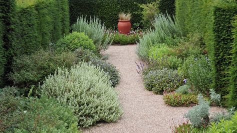 Paver Sand, Backyard Walkway, Garden Hedges, Gravel Path, Organic Mulch, Brick Pavers, This Old House, Mediterranean Garden, Flowers Wallpaper