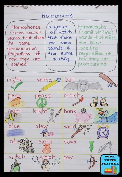 Homographs Anchor Chart, Ela Anchor Charts, Lucy Calkins, Classroom Anchor Charts, Confusing Words, Reading Anchor Charts, Sentence Starters, Writers Notebook, Personal Narratives