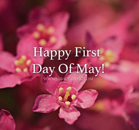 May 1st Quotes, May 1 Quotes, Happy First Day Of May, May Pictures, New Month Quotes, May Quotes, Barbie Quotes, Last Minute Birthday Gifts, State Of Play