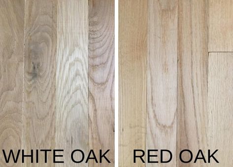 Difference Between Red Oak and White Oak - Castle Bespoke Flooring Red Oak Flooring, Red Oak Floors, Red Oak Wood, Brazilian Cherry, Floor Stain, Luxury Flooring, White Oak Floors, Oak Flooring, White Oak Wood