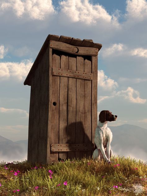 Outhouse Bathroom, Out Houses, Outdoor Toilet, Dog Toilet, Dog Area, Dog Ideas, Hound Dog, Dog Themed, The Bathroom