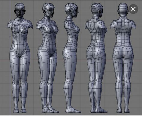 The BLUEPRINT Maya Modeling, 3d Karakter, Model Template, Low Poly Character, Body Template, 3d Modeling Tutorial, Anatomy Models, Character Model Sheet, Female Reference