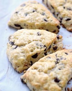 Scones Video, Tender Scones, Chocolate Chip Scones Recipe, Chocolate Chip Scones, Gluten Free Scones, Scones Recipe Easy, Homemade Scones, Scones Easy, Homemade Chocolate Chips