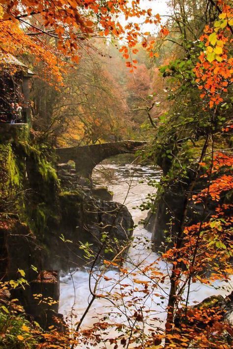 The Hermitage viewpoint during Autumn, Scotland Autumn Scotland, Fall Scenes, Autumn Scenes, Wood Home, Male Photography, Autumn Scenery, England And Scotland, Fashion Decor, Autumn Beauty