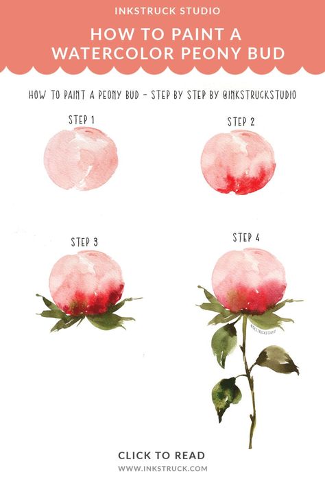 Peony Bud, Watercolor Peony, Watercolor Flowers Tutorial, Watercolor Beginner, Learn Watercolor, Watercolor Tips, Paint Watercolor, Watercolor Paintings For Beginners, Watercolor Peonies