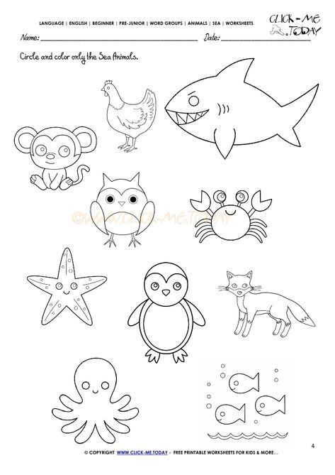 Sea Animal Worksheets Preschool, Sea Animals Worksheets For Preschool, Sea Animals Worksheet For Kindergarten, Water Animals Worksheet, Water Animals Worksheets For Kids, Sea Animals Worksheets For Kids, Animals Kindergarten Activities, Sea Animals Activities For Preschool, Animals Kindergarten