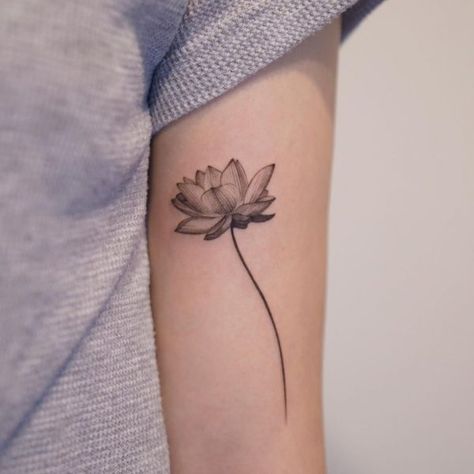 45 Lotus Flower Tattoos Meanings 2023 - Barb Designs & Ideas Lotus And Flower Tattoo, Lotus Flower With Stem Tattoo, Lotus Shoulder Tattoo, Minimal Lotus Tattoo, Lotus Flower Tattoo Men, Lotus Tattoo Men, Lotus Flower Sketch, Waterlilly Tattoo, Flower Tattoos Meanings