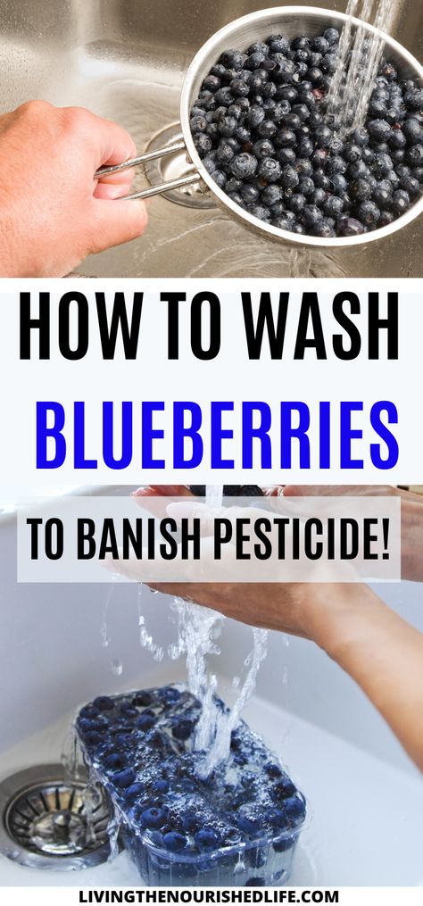 Learn how to wash and clean blueberries Washing Fruit With Vinegar, Clean Blueberries, Wash Blueberries, How To Wash Grapes, How To Wash Strawberries, Washing Fruit, Fruit And Vegetable Wash, Family And Baby, Fruit Dips Recipes