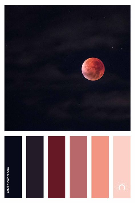 Black Color Palette, Black Color Combination, Orange Color Palettes, Purple Color Palettes, House Color Palettes, Red Colour Palette, Color Schemes Colour Palettes, Room Color Schemes, Color Palate