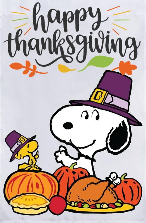 Thanksgiving Snoopy, Happy Thanksgiving Wallpaper, Peanuts Thanksgiving, Happy Thanksgiving Pictures, Thanksgiving Cartoon, Happy Thanksgiving Images, Charlie Brown Thanksgiving, Thanksgiving Pictures, Thanksgiving Wishes