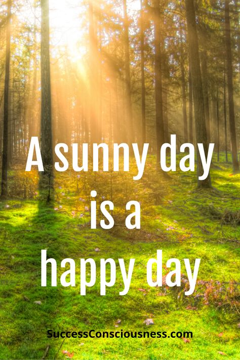 Happy Day Images, Sunny Day Quotes, Sunny Day Images, Sunny Quotes, Sunny Images, Sunset Captions, Quotes To Brighten Your Day, Good Day Sunshine, Sunshine Quotes