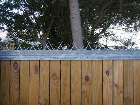 Wall Spikes Topping as Fence Parts with Razor Wire, Barbed Wire Barbed Wire Fencing Ideas, Barb Wire Fence Ideas, Wall Spikes Security, Anti Climb Fence Spikes, Barb Wire Fence, Spike Chain Necklace, Razor Wire, Barbed Wire Fencing, Fence Installation