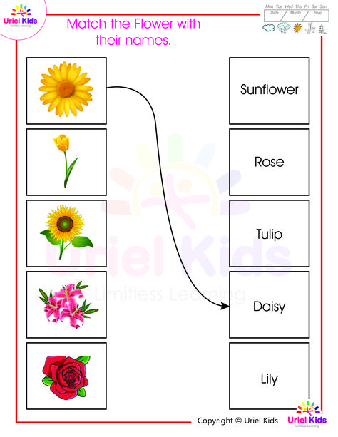 Let’s learn more about this gift of Nature by solving some fun worksheets on flowers! For more such useful worksheets visit: Uriel Kids is an exclusive platform for young children to embrace the joy of learning through activity based worksheets and interactive videos. #worksheets #worksheetsforkids #urielkids #urielkidsonlinepreschool #onlinelearning #education #learning #onlinelearning #children #preschool #childreneducation Worksheet On Flowers For Kindergarten, Flowers Worksheets Preschool, Flowers Activity Preschool, Flowers Worksheets For Kids, Flower Worksheets Preschool, Flowers Worksheet, Flower Worksheet, Teaching Safety, Lkg Worksheets