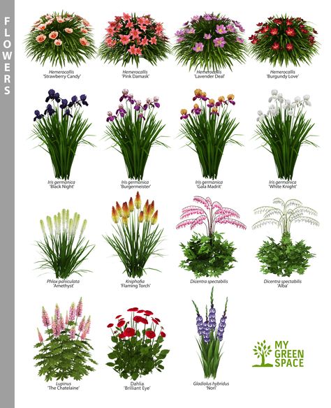 Which one of these beautiful flowers do you like to plant in your garden? #flowers #gardening #summer #gardeninspo Longfield Gardens, Flower Garden Plans, Container Gardening Flowers, Have Inspiration, Front House Landscaping, Front Porch Ideas, Beautiful Flowers Garden, Front Yard Landscaping Design, Landscaping Plants