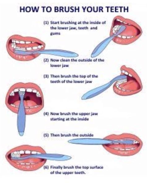 Good to start teaching at a young age Dental Assistant Study, Dental Posters, Dental Hygiene School, Dental Fun, Dental Facts, Dental Life, Brush Your Teeth, Sikat Gigi, Teeth Health