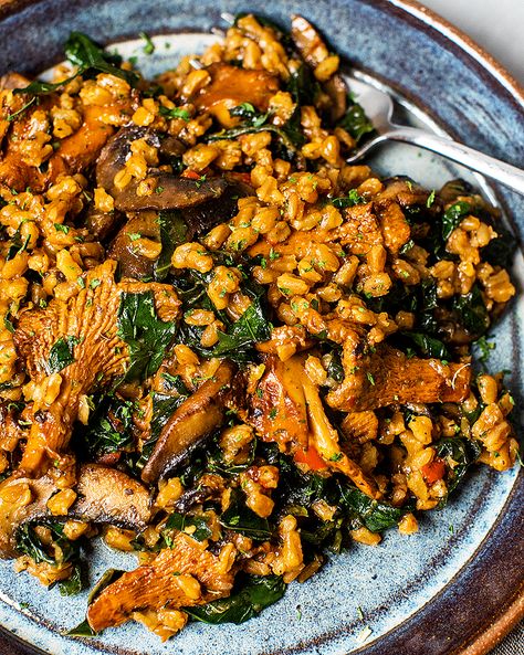 Farro with Wild Mushrooms | Tried & True Recipes Red Kale, Wild Mushroom Recipes, Farro Recipes, Veggie Main Dishes, Fresno Chili, Risotto Dishes, Mushroom Recipes Healthy, Mushroom Varieties, Tried And True Recipes