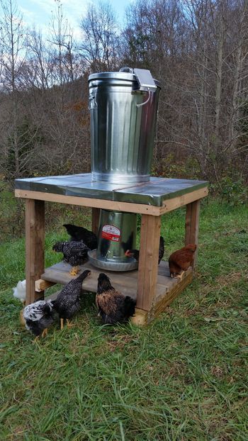 Started with a Moultrie deer feeder that has multiple feeding times and adjustable feed duration.... Diy Garbage Can, Farm Life Aesthetic, Aesthetic Farm, Chicken Feeder Diy, Hunting Ideas, Chicken Roost, Poultry Feeders, Can Chicken, Chicken Feeders