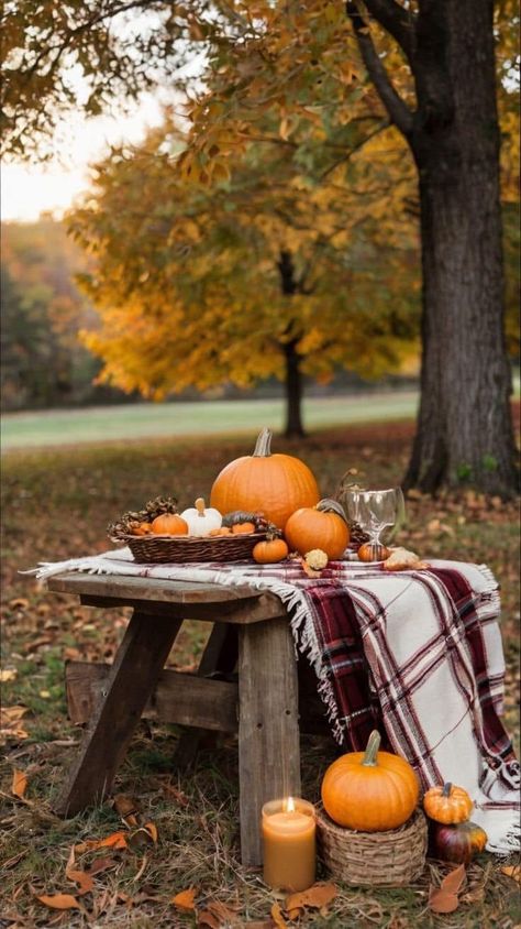 Autumn Challenge, Autumn Scents, Fall Photo Props, Warm Inviting Home, Fall Decorating Ideas, Apple Decorations, Fall Photography, Halloween Photo, Rustic Fall Decor