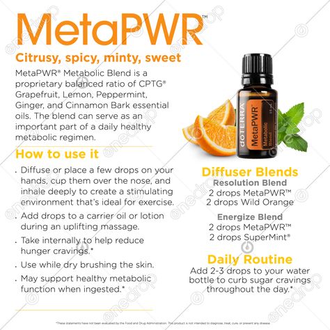 Doterra Cinnamon Bark, Doterra Metapwr Oil, Doterra Meta Power, Metapwr Dottera, Doterra Metapwr, Cinnamon Bark Essential Oil, Metabolic Health, Do Terra, Essential Oils Business