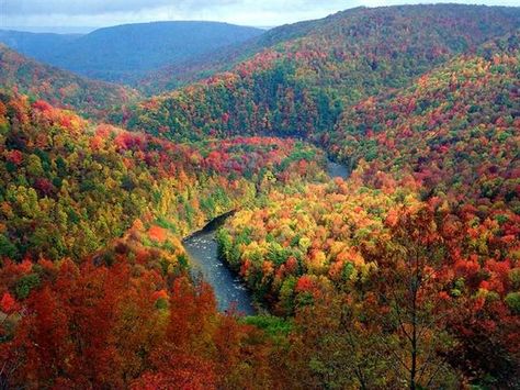 I miss the drive to keuka! @melani Liddick Upstate Ny Travel, Places To Take Pictures, Lake George Village, Hudson River Valley, Adirondack Mountains, Lake George, Autumn Scenery, Upstate Ny, Upstate New York