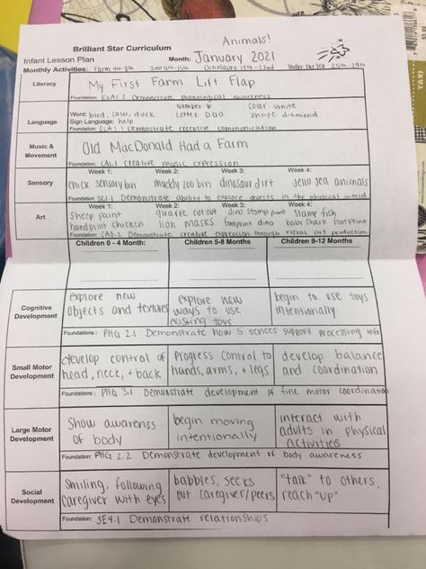 January infant lesson plan Infant Programming Ideas, Infant Progress Reports, January Infant Lesson Plans, Infant Lesson Plans Daycares, Infant Room Lesson Plans, Infant Lesson Plans Creative Curriculum, January Lesson Plans For Toddlers, Infant Activities Daycare, Feelings Activities Preschool