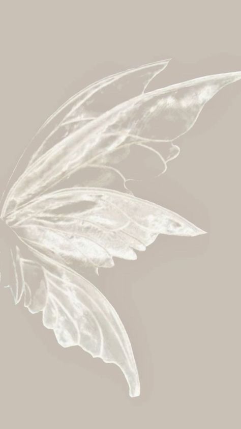 White Aesthetic Butterfly, Butterfly Aesthetic Wallpaper, Wallpaper Butterfly, Wing Butterfly, Minimalist Wallpaper Phone, Butterfly Aesthetic, Simplistic Wallpaper, Aesthetic Butterfly, Zestaw Ikon