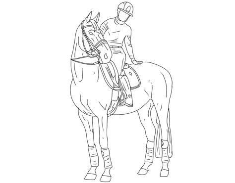 Horse With Rider Drawing, Horse And Rider Drawing, Horse Lineart, Horse Drawing Tutorial, Horse Outline, Horse Art Drawing, Horse Sketch, Horse Inspiration, Horse Coloring Pages