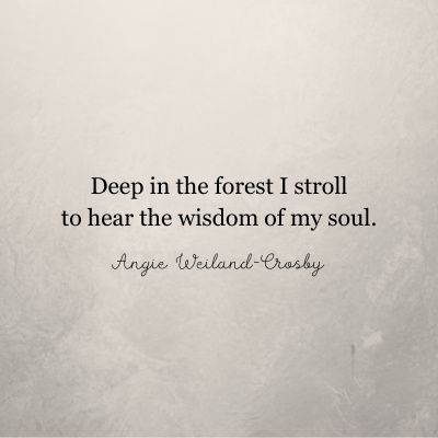 Nature Quote from the pages of "Scarlet Oak," a magical realism novel and fairy tale for your soul by Angie Weiland-Crosby | "Deep in the forest I stroll to hear the wisdom of my soul." Angie Weiland-Crosby #quote #forequotes #novel #scarletoak #angieweilandcrosby Forest Love Quotes, Mythical Quotes, Sprite Photoshoot, Forest Sprite, Forest Quotes, Fairytale Quotes, Fairy Quotes, Nature Quotes Inspirational, Captivating Book