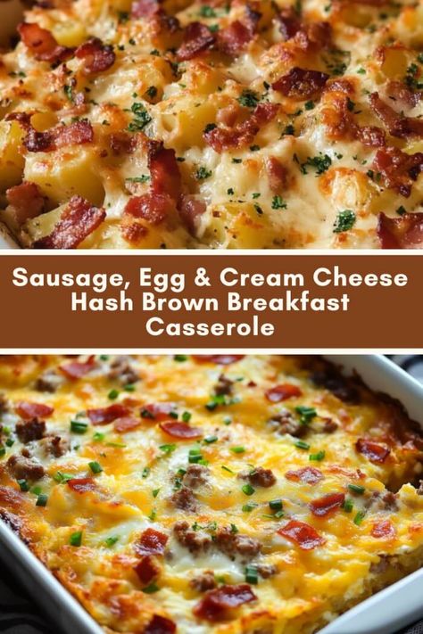 Sausage, Egg & Cream Cheese Hash Brown Breakfast Casserole Breakfast With Sausage Recipes, Breakfast Family Ideas, Morning Casserole Recipes, Best Sausage Breakfast Casserole, Easy Holiday Breakfast, Sausage Cheese Hashbrown Casserole, Eggs Hashbrown Casserole, Breakfast Sausage Bake, Egg Casserole With Sausage