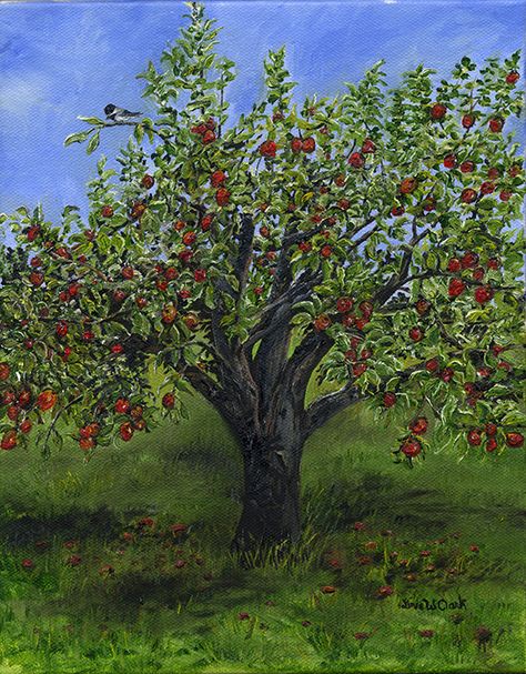 The Apple Tree, by Linda W Clark is an oil painting on cotton canvas measuring 8 x 10 inches. It was completed in July of 2015 with Giclee prints following. Tree Plan Photoshop, Tree Painting Ideas, Apple Tree Painting, Tree Garden Design, Drawing Apple, Palm Tree Drawing, Birch Tree Wedding, Red Maple Tree, Tree Outline