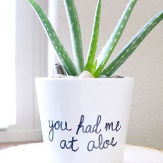 Aloe Puns, Aloe Plant Sayings, Funny Plant Sayings, Succulent Puns, Succulents Drawing, Wildflower Decor, Diy Succulent Terrarium, Plant Puns, Succulent Bouquet Wedding