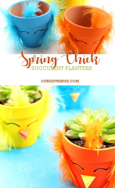 Fun DIY Spring Chick Planters Succulent Planter #spring #gardencraft #kidsgarden Pots Crafts, Succulent Wreath Diy, Indoor Succulent Planter, Diy Succulent Terrarium, Succulent Planter Diy, Fun Easter Crafts, Succulent Planters, Spring Chicken, Diy Spring