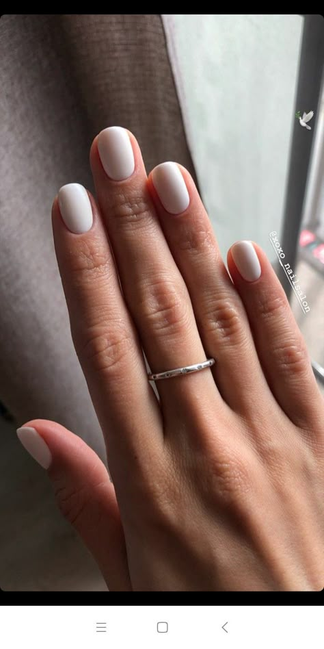 White Gel Nails Natural Nail, White Squoval Nails, White Gel Nails, Simple Gel Nails, Minimal Nails, Casual Nails, Neutral Nails, Minimalist Nails, Dream Nails