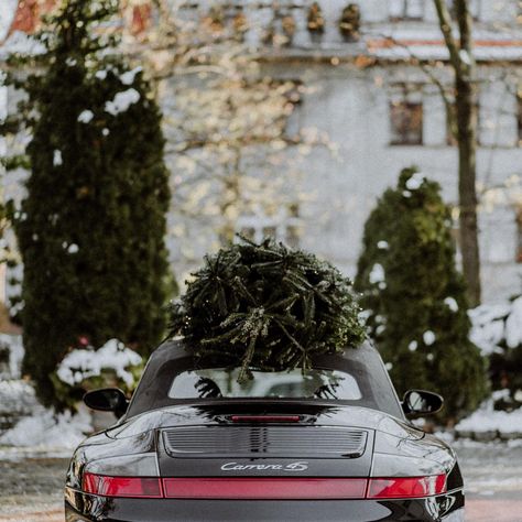 Porsche With Christmas Tree, Christmas Cars, Winter Car, Car Christmas, Elegant Christmas Trees, Luxury Winter, 2023 Calendar, Rare Images, Christmas Ad