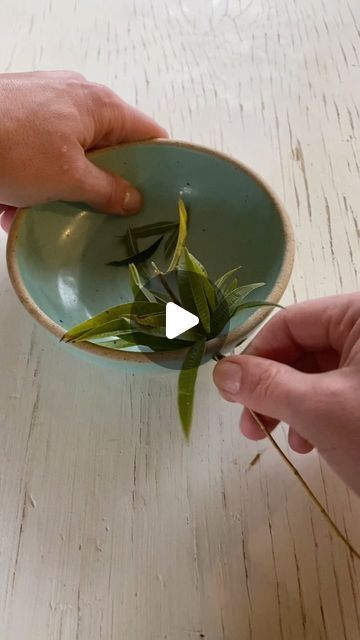 Tamara Bryan on Instagram: "Something fresh for the new year: herb bowls! I’m also toying with adding a garlic grater to the bottom of this bowl or maybe a lid so it can double as a garlic keeper. What do you think?   Adding two new color options to these too: Twilight and Ice. Get on the studio email list to be notified when these are listed.   #potterybowl #freshherbs #handmadeceramics #potterystudiolife #ceramiclife #handmadebowl" Pottery Herb Stripping Bowl, Herb Stripping Bowl, Pottery Garlic Grater, Garlic Grater Pottery, Ceramic Garlic Grater, Garlic Keeper, Garlic Grater, Beginner Pottery, Pottery Dishes