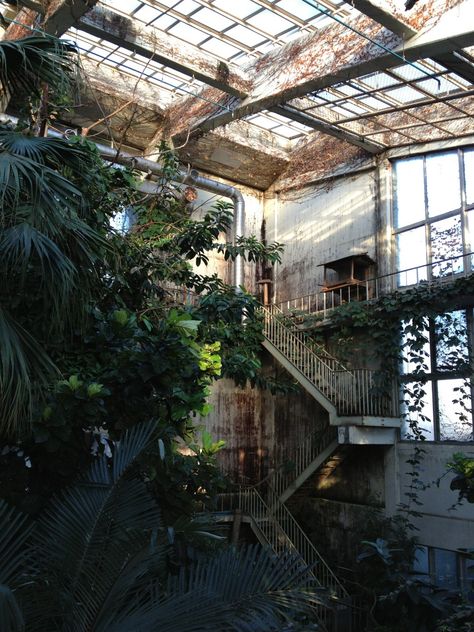 Magic Places, Plants Growing, Bohemian House, Garden Architecture, Abandoned Buildings, Ceiling Beams, Greenhouses, Glass House, Abandoned Places