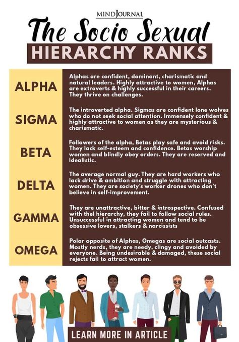 From Alpha To Omega: What Is Your Socio-Sexual Hierarchy Rank? Alpha Male Quotes, Sigma Male, Psychology Fun Facts, Introverted, Men Quotes, Personality Traits, Psychology Facts, Self Improvement Tips, Emotional Health