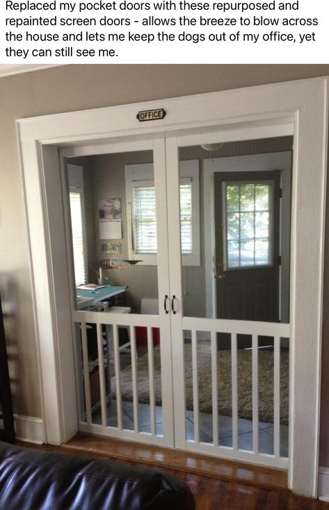 Pocket Screen Door, Door Remodel, Handyman Hacks, Redecorating Ideas, Sliding Screen Doors, Screen Doors, My Idea, Building Ideas, Pocket Doors