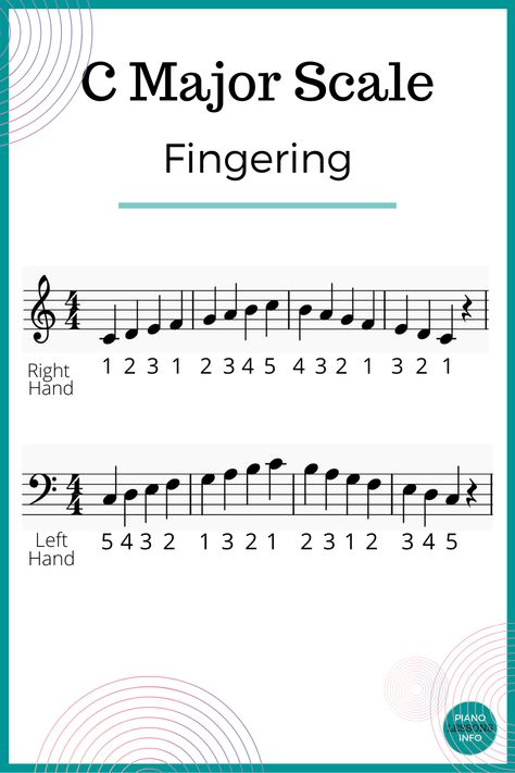 Fingering or finger patterns for C major scale on piano. Right hand and left hand, treble clef scale, bass clef scale. C major scale. Piano tutorial. C Major Scale Piano, Piano Scales For Beginners, Piano Exercise, Treble Clef Notes, C Major Scale, Beginner Piano Lessons, Music Theory Piano, Piano Lessons For Kids, Beginner Piano Music