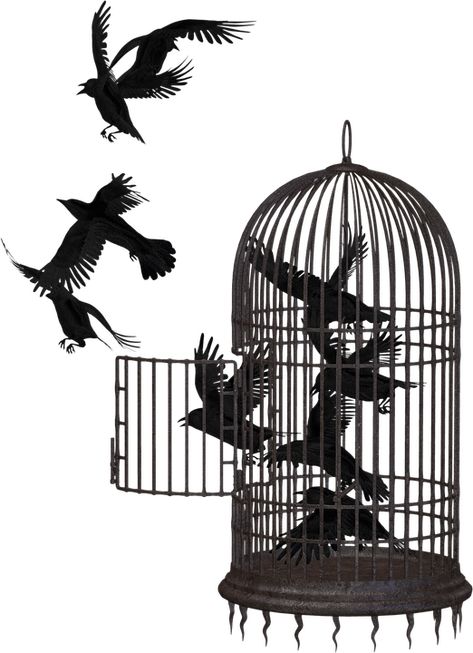 Bird In A Cage, Cage Bird, The Caged Bird Sings, Strange Tales, Parrot Cage, Fear Of The Unknown, Free Png Downloads, Bird Cages, Break Free